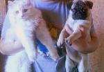     
: x_5f9a37eb.jpg
: 50
:	20.4 
ID:	403142