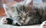     
: x_f9f20bfd.jpg
: 9
:	34.1 
ID:	4033024