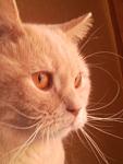     
: Фото3378.jpg
: 23
:	52.7 
ID:	4035652