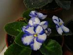     
: DSC02129.jpg
: 21
:	100.0 
ID:	4040461