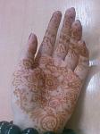     
: x_9077fdeb.jpg
: 18
:	58.9 
ID:	4042243