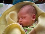     
: Фото0036.jpg
: 33
:	79.7 
ID:	4042611