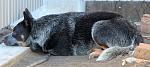     
: IMG_1417_thumb.jpg
: 30
:	88.2 
ID:	4044386