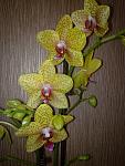     
: 29032012591.jpg
: 72
:	110.4 
ID:	4047720