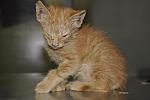     
: 7fa14c591be4.jpg
: 56
:	124.0 
ID:	405034