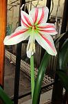     
: IMG_2378.jpg
: 25
:	93.0 
ID:	4050499