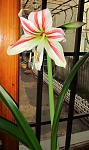     
: IMG_2376.jpg
: 29
:	86.4 
ID:	4050503