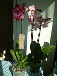     
: P1010521.JPG
: 35
:	162.4 
ID:	4053224