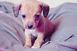     
: z_40d671d8.jpg
: 76
:	185.6 
ID:	4054502