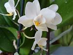     
: DSC02196.jpg
: 29
:	90.7 
ID:	4055479