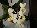     
: DSC02216.jpg
: 27
:	71.6 
ID:	4055522