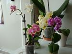     
: DSC02220.jpg
: 39
:	101.7 
ID:	4055524