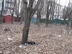     
: IMG_2454.jpg
: 32
:	302.6 
ID:	4056052