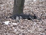     
: IMG_2456.jpg
: 38
:	273.2 
ID:	4056056