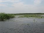     
: IMG_1233.jpg
: 74
:	87.2 
ID:	405608