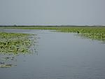     
: IMG_1235.jpg
: 81
:	61.8 
ID:	405609