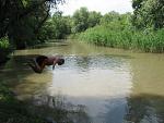     
: IMG_1259.jpg
: 113
:	124.9 
ID:	405610