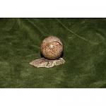     
: charoit-26mm-180grn-2-500x500.jpg
: 67
:	56.8 
ID:	4056862
