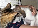     
: IMG_8214.JPG
: 40
:	79.5 
ID:	4057373