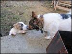     
: IMG_8194.JPG
: 40
:	101.6 
ID:	4057375