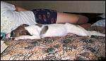     
: IMG_8231.JPG
: 37
:	82.9 
ID:	4057417