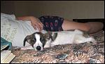     
: IMG_8230.JPG
: 37
:	78.2 
ID:	4057418