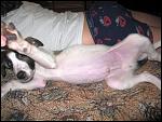     
: IMG_8235.JPG
: 37
:	94.9 
ID:	4057420