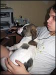     
: IMG_8267.JPG
: 39
:	74.4 
ID:	4057429