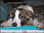     
: IMG_8256.JPG
: 33
:	104.7 
ID:	4057496