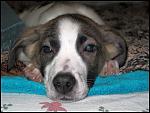     
: IMG_8255.JPG
: 29
:	95.1 
ID:	4057497
