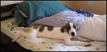     
: IMG_8277.JPG
: 49
:	53.1 
ID:	4057501