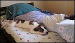    
: IMG_8276.JPG
: 49
:	55.1 
ID:	4057502