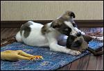     
: IMG_8301.JPG
: 51
:	82.7 
ID:	4057509