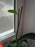     
: P4010019.jpg
: 80
:	74.5 
ID:	4058544