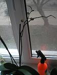     
: P4010020.jpg
: 71
:	89.9 
ID:	4058546
