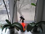     
: P4010021.jpg
: 71
:	133.3 
ID:	4058547