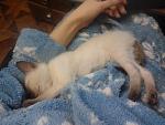     
: 2012-03-28 21.07.43.jpg
: 131
:	121.9 
ID:	4058970