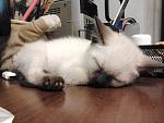     
: 2012-03-26 00.31.15.jpg
: 129
:	126.5 
ID:	4058972
