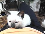     
: 2012-03-27 23.08.21.jpg
: 27
:	124.6 
ID:	4058974