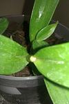     
: IMAG0127.jpg
: 59
:	55.2 
ID:	4060032
