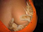     
: id_c1_kts.jpg
: 10
:	17.7 
ID:	4062233