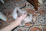     
: DSC_0113.jpg
: 109
:	133.0 
ID:	4062862