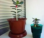     
: IMG_0173.jpg
: 43
:	115.0 
ID:	4064149