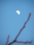     
: P4012475.jpg
: 13
:	24.6 
ID:	4064238