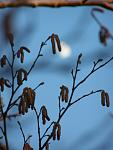     
: P4012474.jpg
: 15
:	57.6 
ID:	4064249