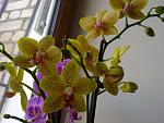     
: 02042012615.jpg
: 28
:	117.8 
ID:	4064330