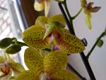     
: 02042012613.jpg
: 24
:	84.4 
ID:	4064333