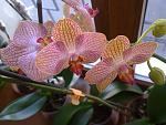     
: 02042012616.jpg
: 19
:	124.7 
ID:	4064349