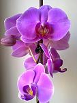     
: 02042012626.jpg
: 18
:	78.1 
ID:	4064365