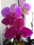     
: 02042012619.jpg
: 15
:	63.3 
ID:	4064393